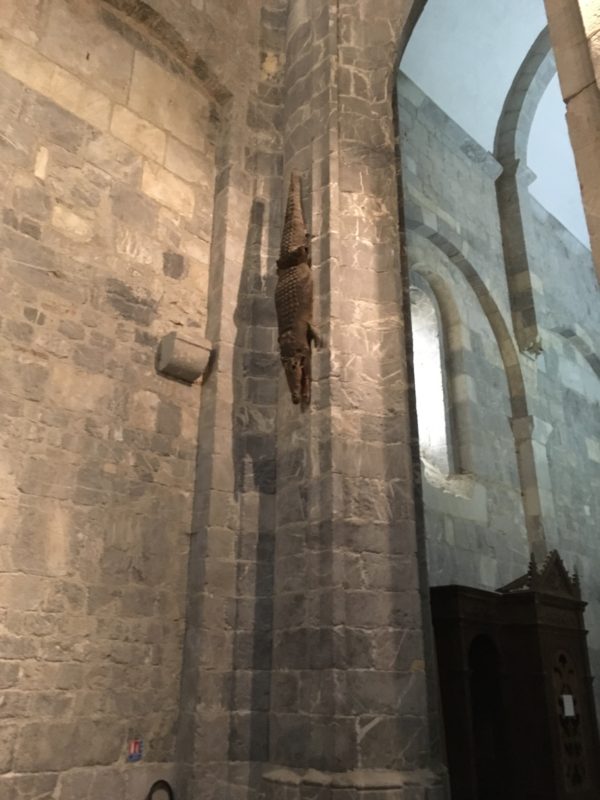 De la grenouille de Penne au crocodile de