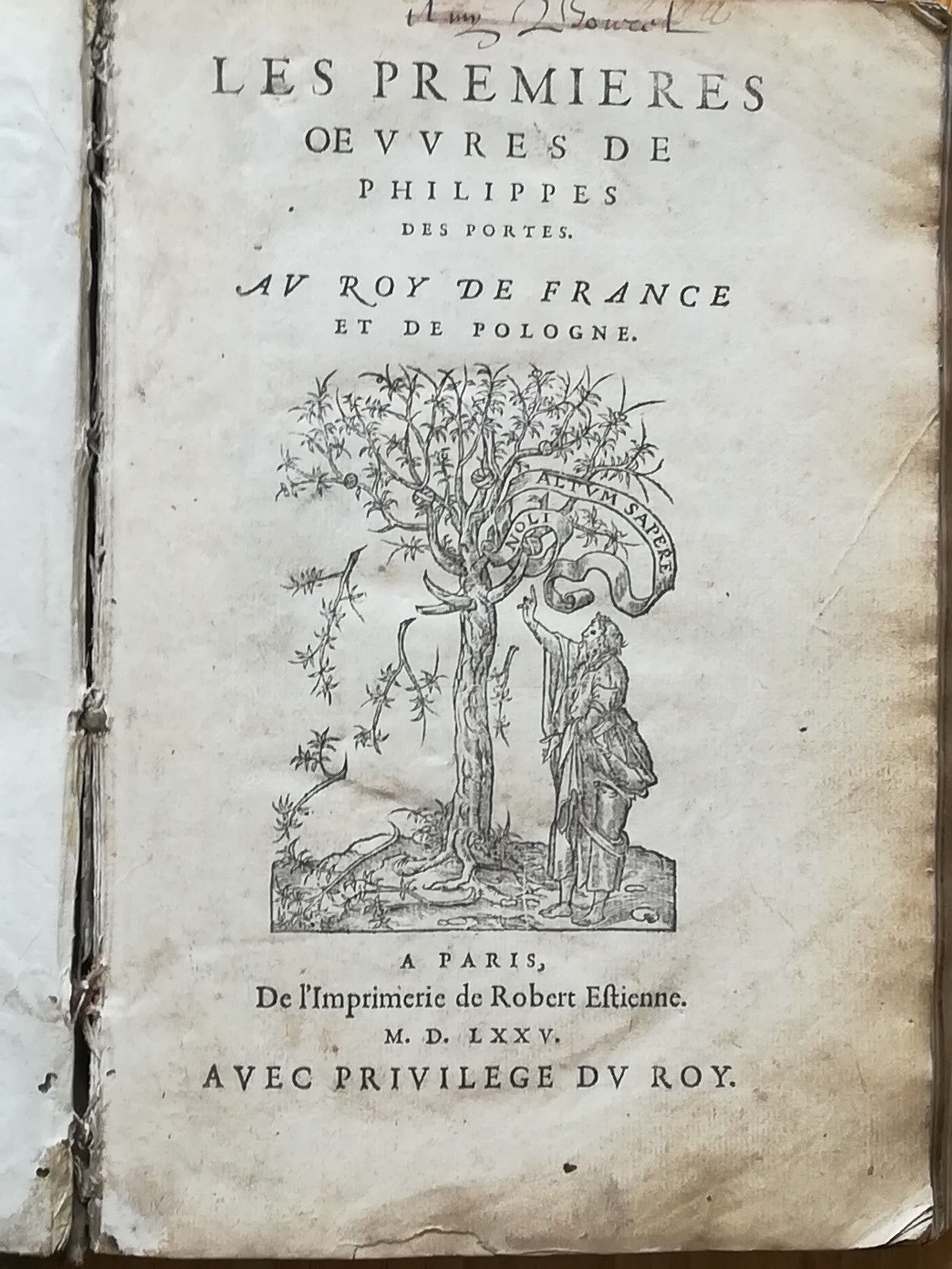 De la grenouille de Penne au crocodile de